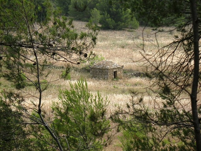 The “Capitelles” - Trail of Rancoule