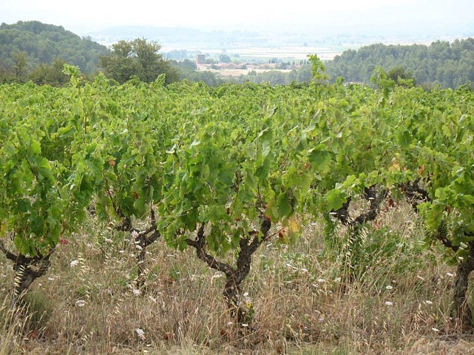 The “Capitelles” - Trail of Rancoule