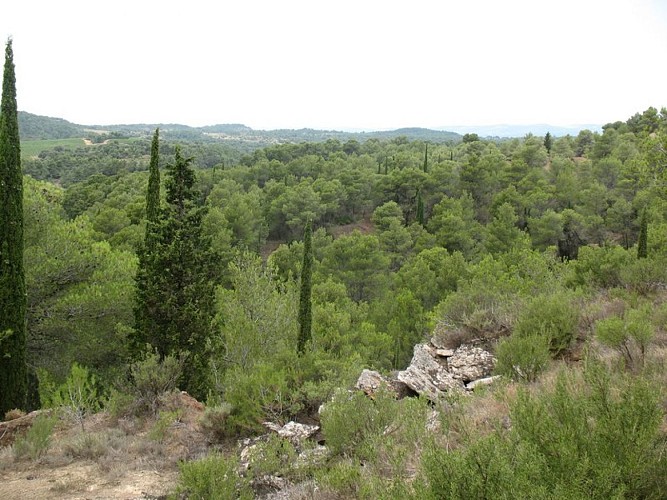 The “Capitelles” - Arques Road