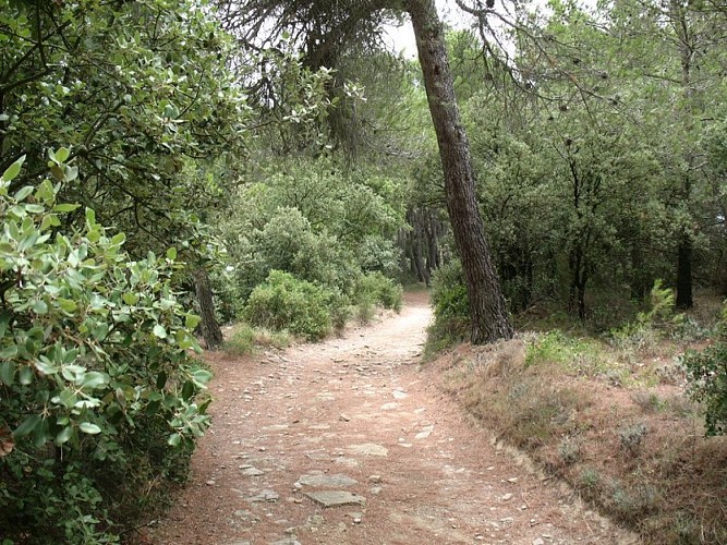The “Capitelles” - Arques Road