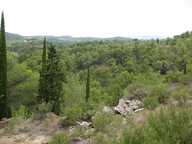 Les capitelles - Route des Arques