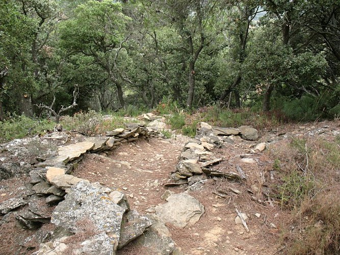 Les capitelles - Route des Arques