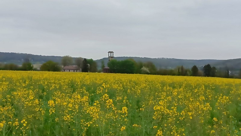 Paysages Floriffoux - Charbonnage (2)