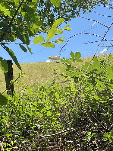 Circuit des villages