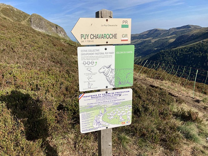 A/R Col de Redondet Puy Chavaroche - 3,8 kms