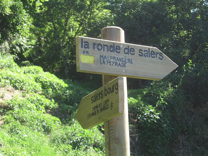 Signalétique Ronde de Salers