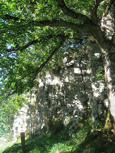 Le rocher d'escalade la Peyrade