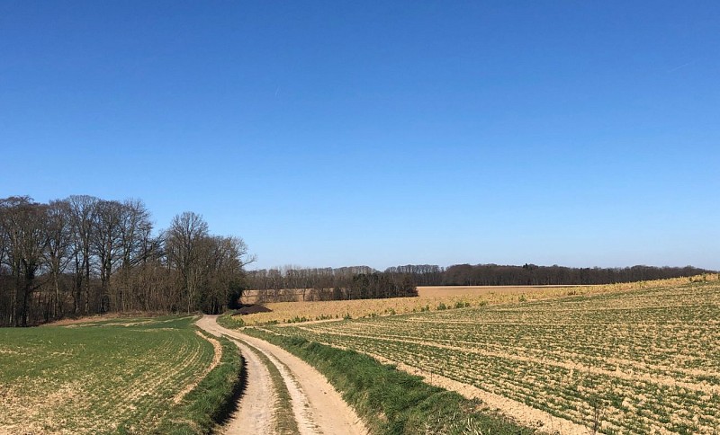 Tourinnes-la-Grosse et ses environs - Val et Oli