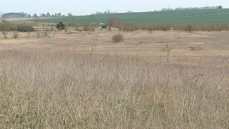 Paysage de pelouse sèche