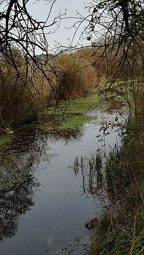Ruisseau de l'Herpenty