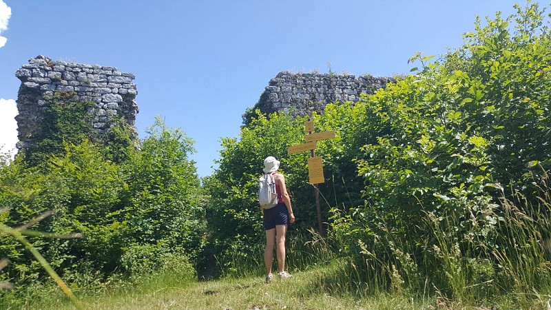 Vestiges des Tours César