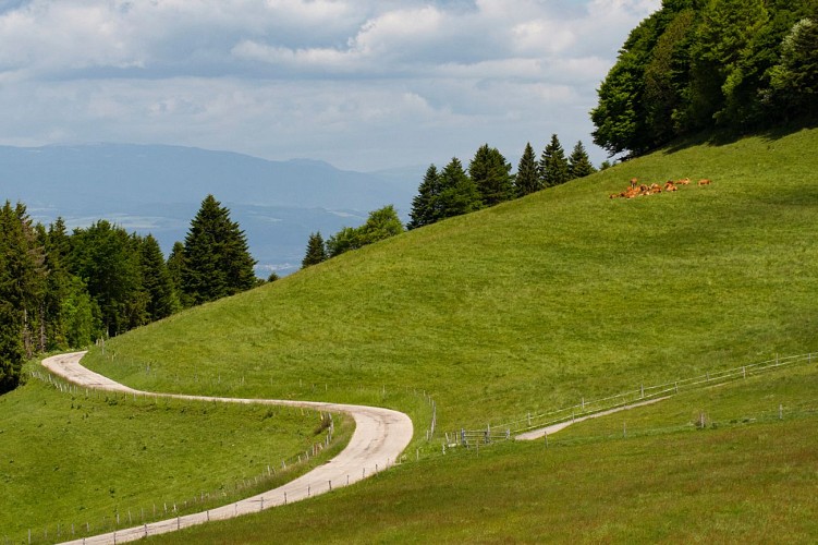 Fietsparcours: Salève-circuit