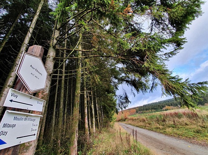 Prom 4 Oizy Mitauge nov 20 MTBA AV (2)