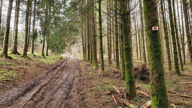 Vivy hiver 22 prom6 AV MTBA (6) - Copie