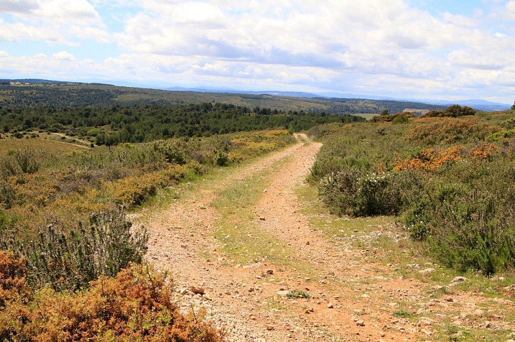 Parcours VTT Fleury : Liaison de Fleury à l'Oustalet