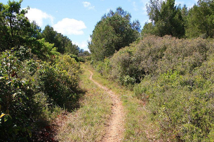 Parcours VTT Fleury : Liaison de Fleury à l'Oustalet