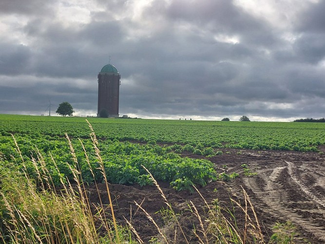 Dejardin été 2024 (7)