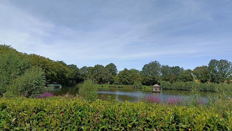 Étang de Soye - juillet 2023 (1)