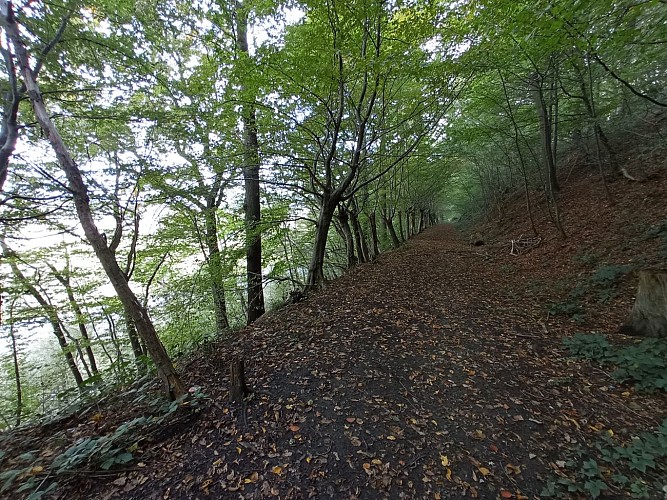 FLO Bois Chaumont 05