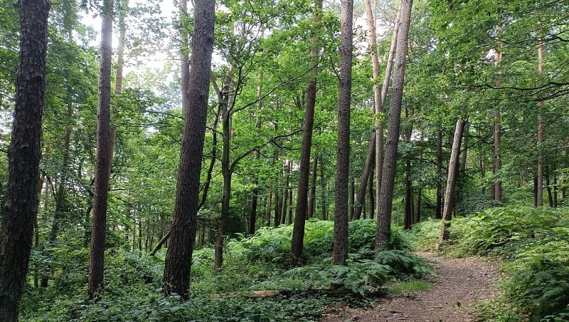 Buzet - parcours santé et paysages - 26.06.2024 - FC (19)