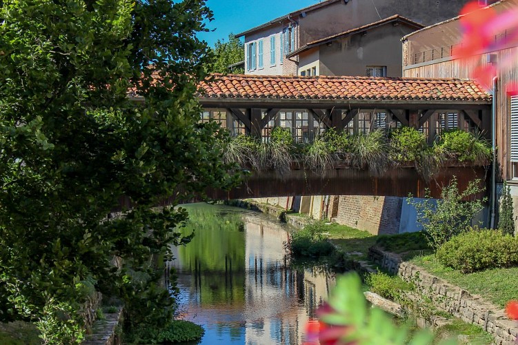 Rundgang von der mittelalterlichen Stadt zum Arboretum in Châtillon-sur-Chalaronne