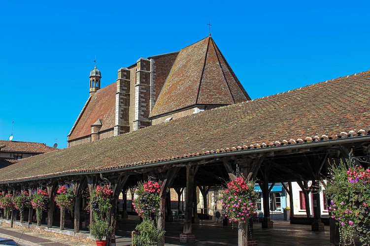 Rundgang von der mittelalterlichen Stadt zum Arboretum in Châtillon-sur-Chalaronne