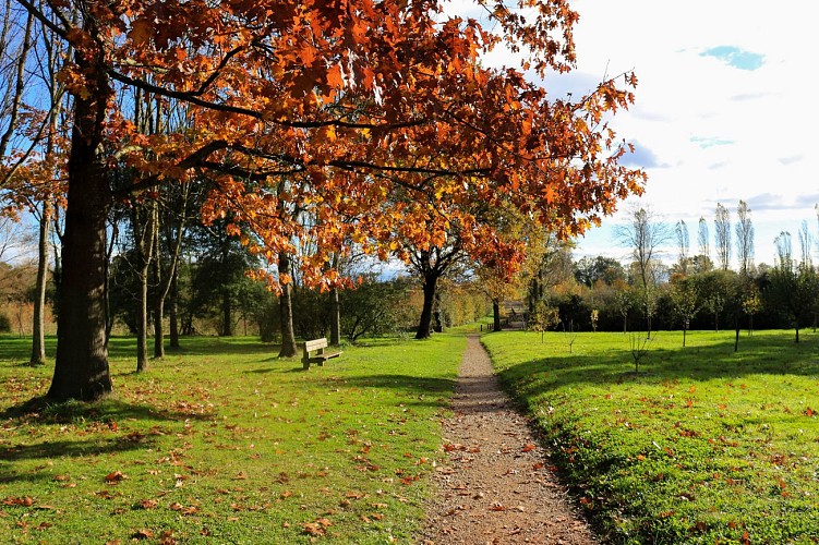 Rundgang von der mittelalterlichen Stadt zum Arboretum in Châtillon-sur-Chalaronne