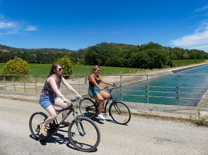 Rians, Vignes et lavandes à vélo