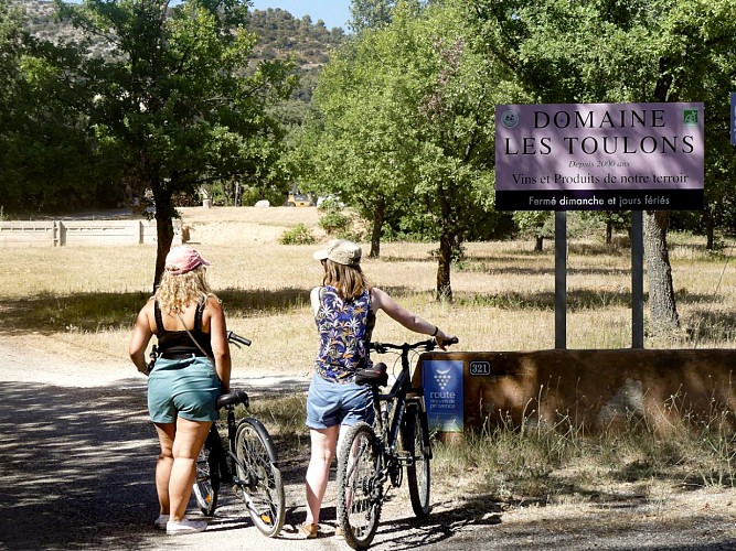 Rians, Vignes et lavandes à vélo