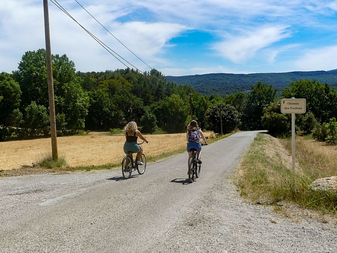 Rians, Vignes et lavandes à vélo