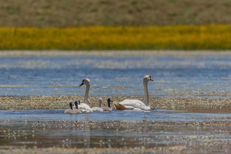Rundgang der Mönche in Le Plantay