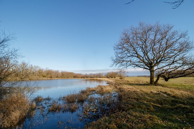Etang Petites Routes
