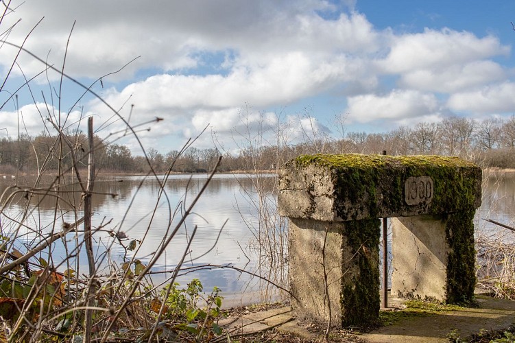 Rundweg zum Teich Moulin in Condeissiat