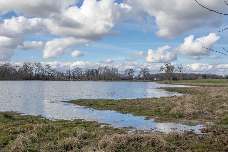 Rundweg zum Teich Moulin in Condeissiat