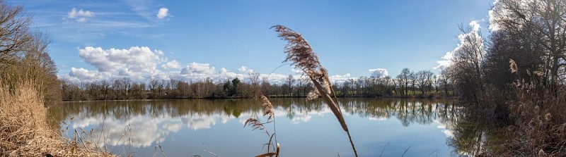 Rundweg zum Teich Moulin in Condeissiat