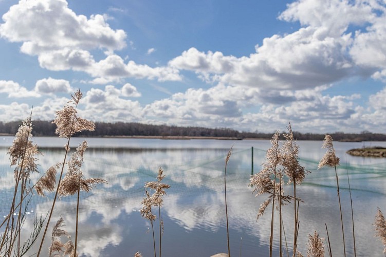 Etang Moulin circuit in Condeissiat