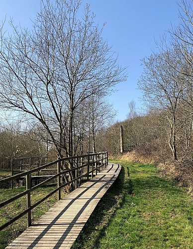 Ossogne dans le Condroz - Val et Oli