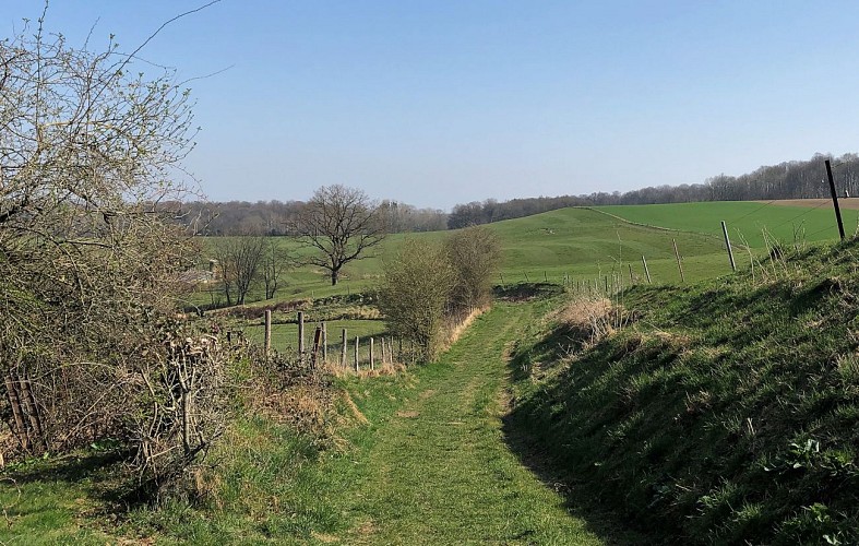 Ossogne dans le Condroz - Val et Oli