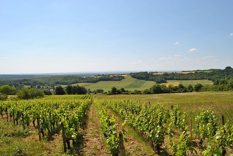 Vue proche Saint-Lay5