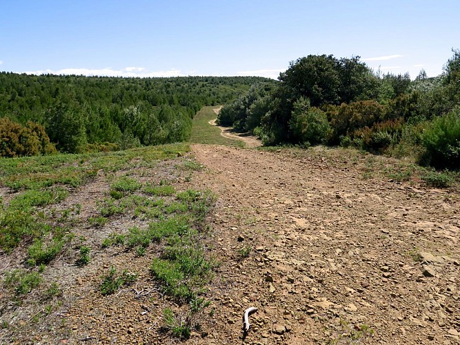 Parcours VTT Fleury : Circuit Les vinassanes au départ de l'Oustalet