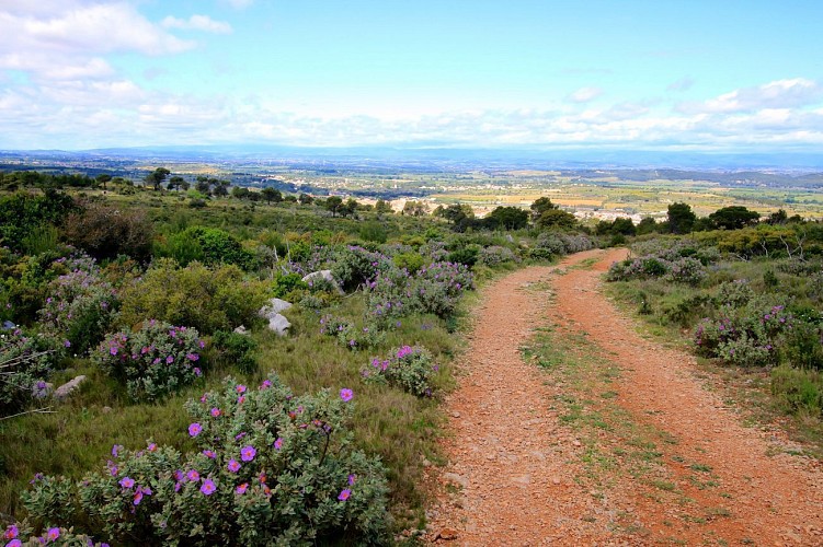 Parcours VTT Fleury : Circuit Coeur de Clape au départ de l'Oustalet