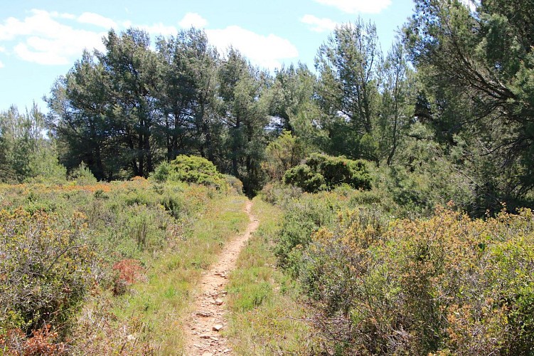 Parcours VTT Fleury : Circuit Coeur de Clape au départ de l'Oustalet