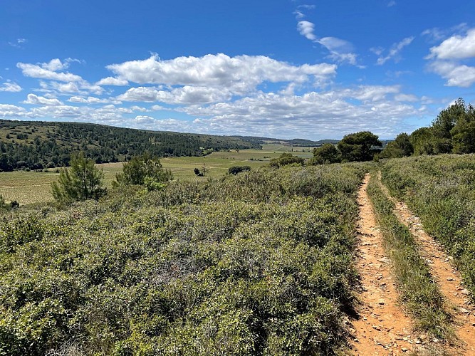 Parcours VTT Fleury : Circuit Coeur de Clape au départ de l'Oustalet