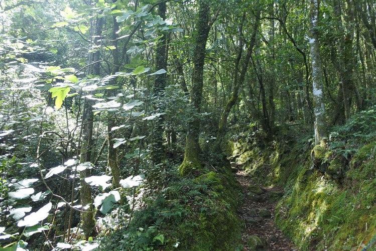 Stèle de Sampiero Corso