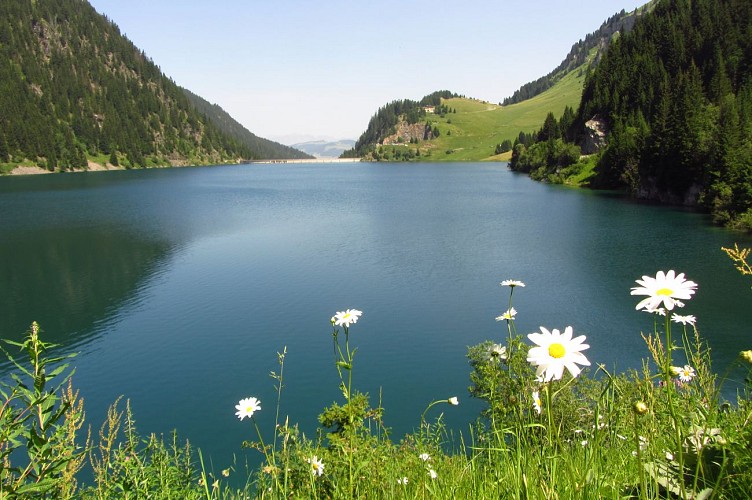 Savoyaardse ontdekkingswandeling in Saint-Guérin
