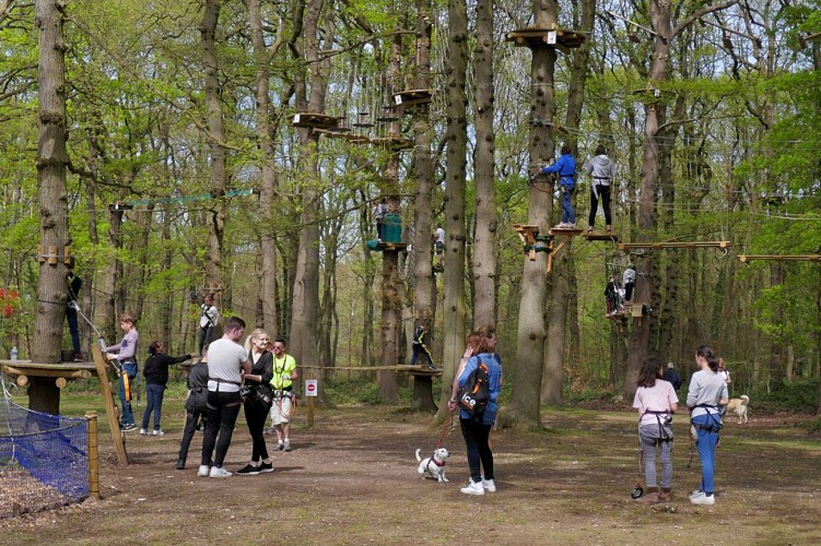 De forêts en jardins