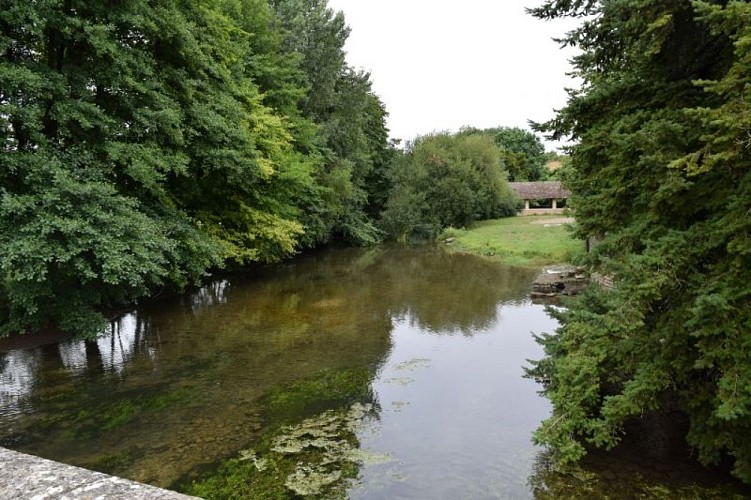 Salles_Parcours faune et flore salladines4