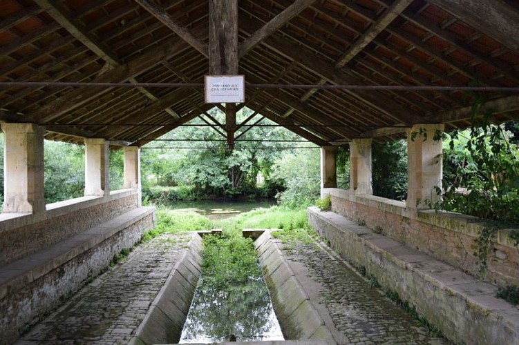 Salles_Parcours faune et flore salladines3