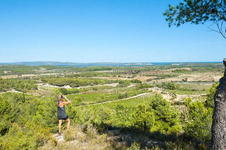 69 / Portel-des-Corbières : La boucle de la Bade
