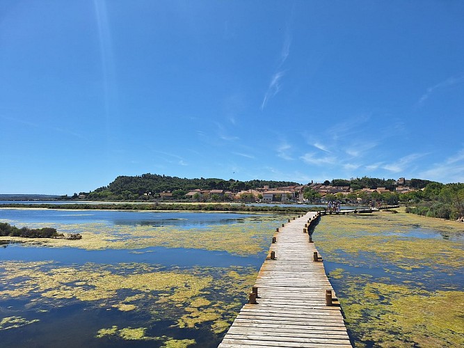 50/ Peyriac de Mer : la boucle de la saline